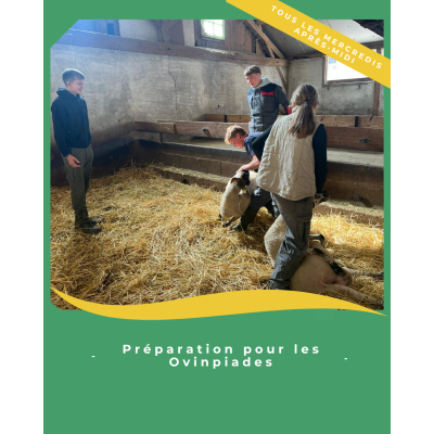 PREPARATION POUR LES OVINPIADES