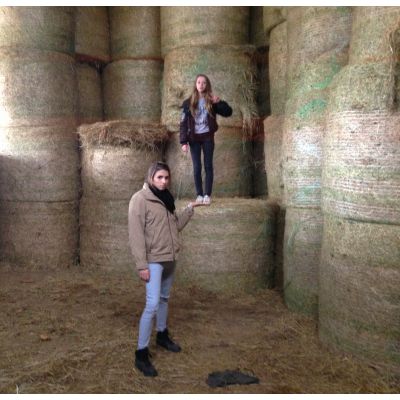 PHOTOGRAPHIE ET INSOLITE, un projet en éducation socio-culturelle au LYCEE DE RESSINS