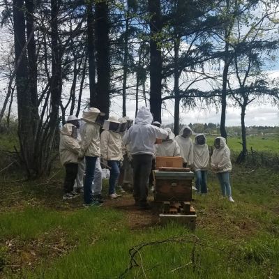 L'APICULTURE AU LYCEE !