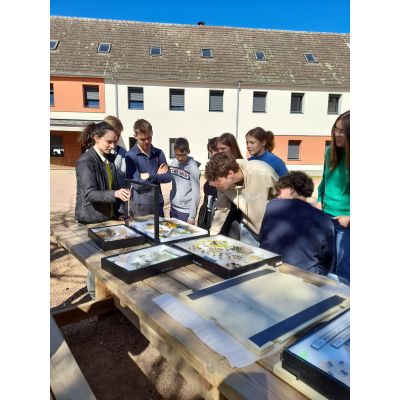 ARTHROPOLOGIA ET BIODIVERSITE AU LYCEE DE RESSINS