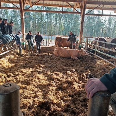 LA MSA INTERVIENT AUPRES DES TERMINALES PRO