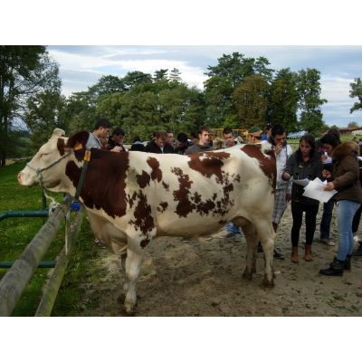 Ressins ouvre un BTSA ACSE par apprentissage à la rentrée 2017.