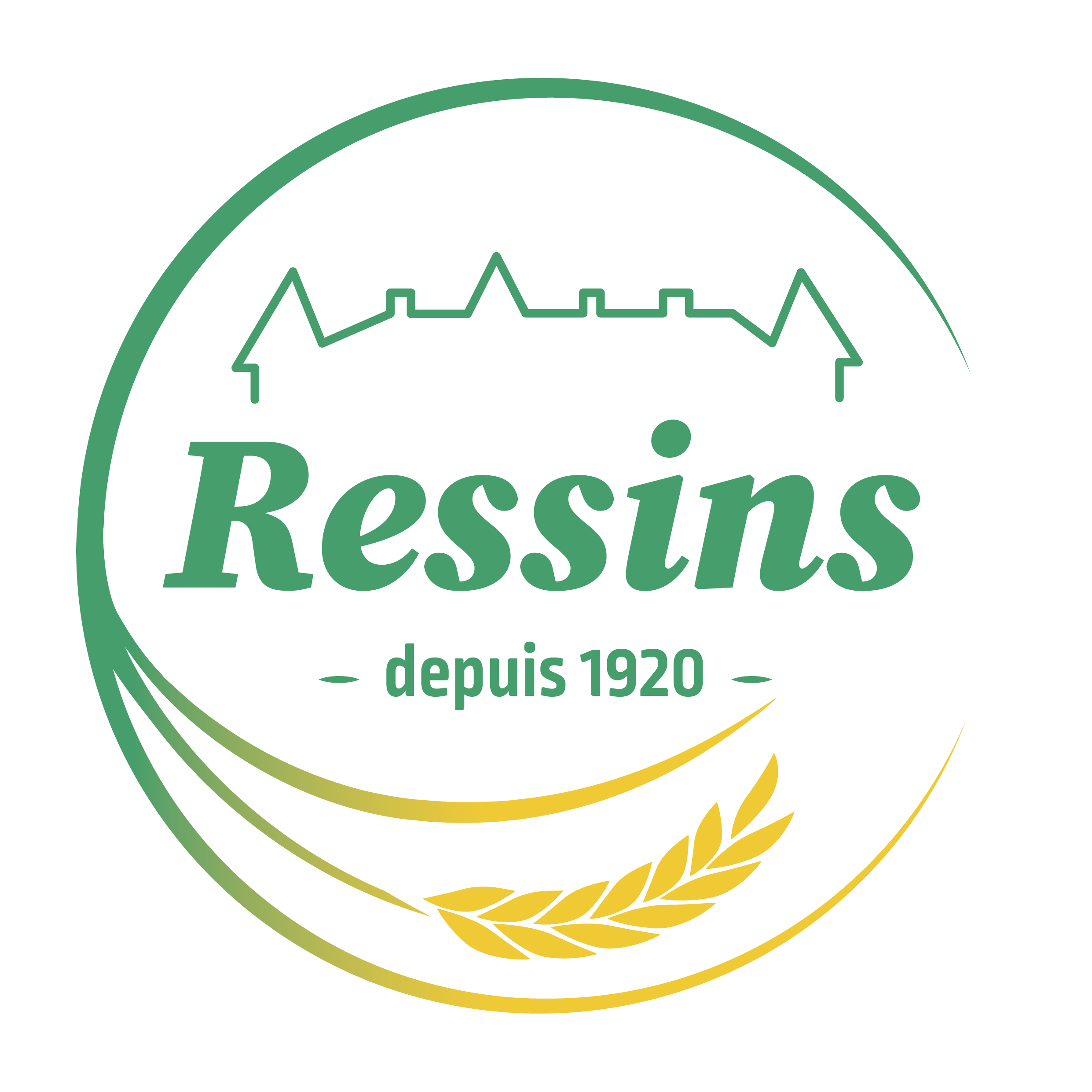 Logo Ressins
